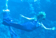 City of Mermaids